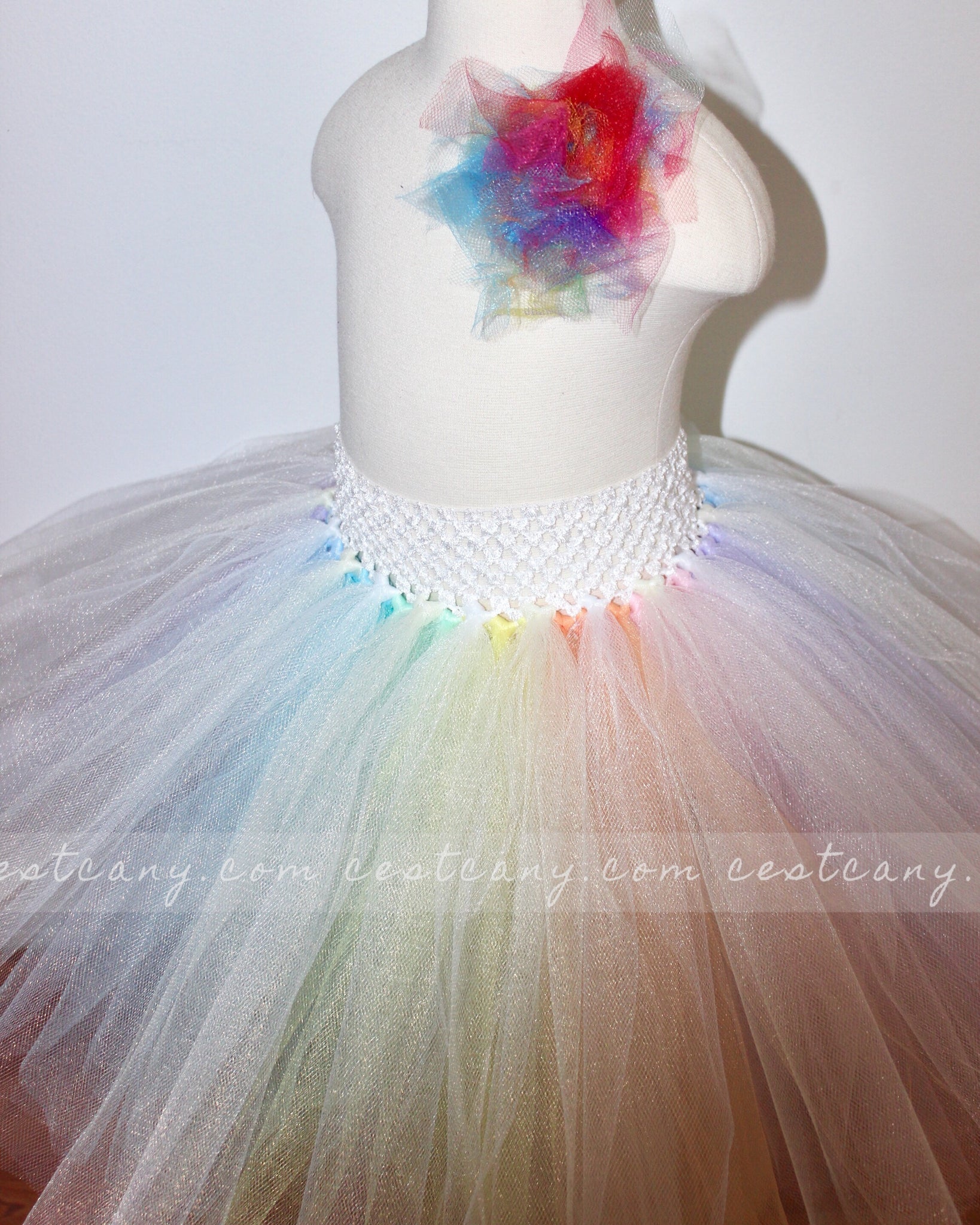 Pastel Rainbow Maxi Tulle Skirt – C'est Ça New York